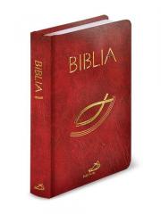 Książka - Biblia. Stary i Nowy Testament