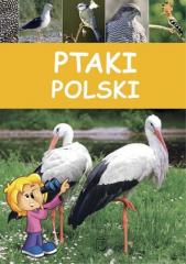 Książka - Ptaki polski