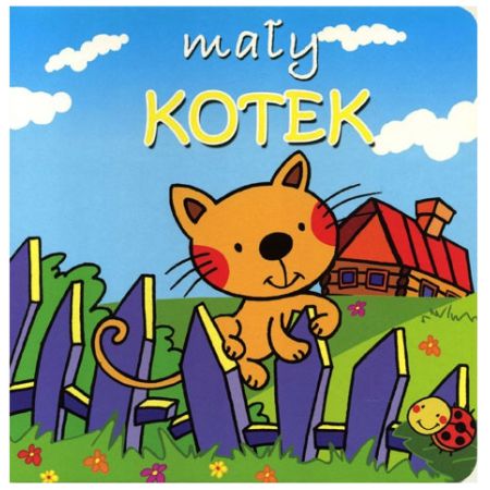 Mały kotek. Mini zwierzątka