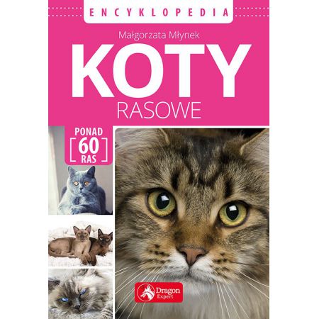 Koty rasowe Encyklopedia