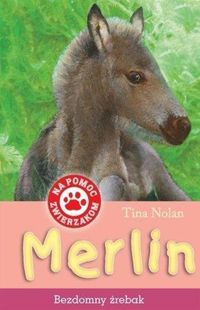 Książka - Merlin Bezdomny źrebak