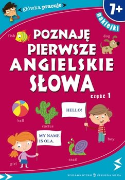 Poznaję pierwsze angielskie słowa. Część 1