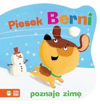 Książka - Piesek Berni poznaje zimę