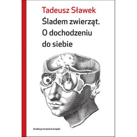 Śladem zwierząt. O dochodzeniu do siebie