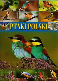 Książka - Ptaki Polski