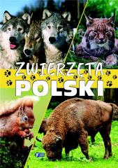 Książka - Zwierzęta polski