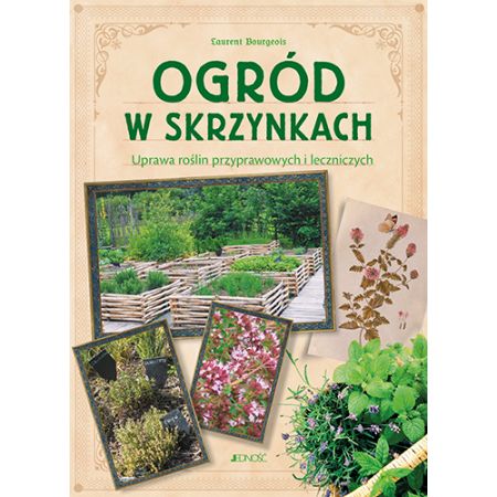 Książka - Ogród w skrzynkach uprawa roślin przyprawowych i leczniczych