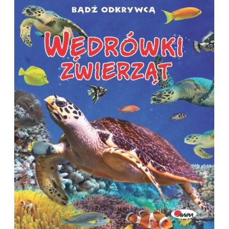 Bądź odkrywcą. Wędrówki zwierząt