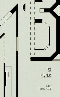 Książka - 13 pięter Filip Springer