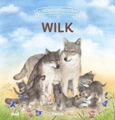 Książka - Wilk. Dzikie zwierzęta w naturze