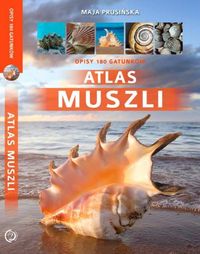 Książka - Atlas muszli