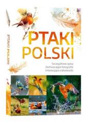 Książka - Ptaki Polski Szczegółowe opisy, liczne ciekawostki, zachwycające fotografie