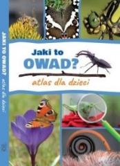 Książka - Jaki to owad? Atlas dla dzieci