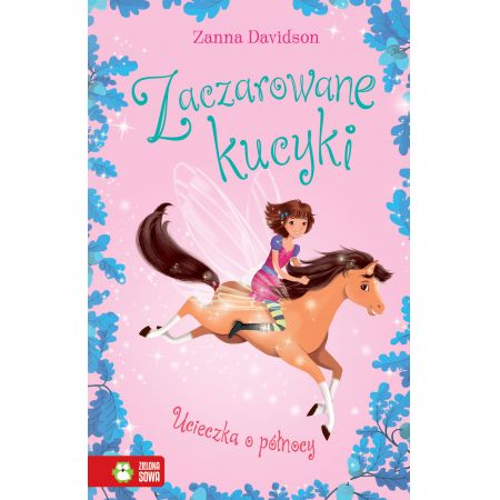 Książka - Zaczarowane kucyki. Ucieczka o północy