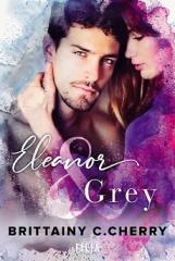 Książka - Eleanor & Grey