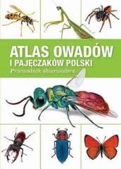 Książka - Atlas owadów i pajęczaków. Polski przewodnik obserwatora