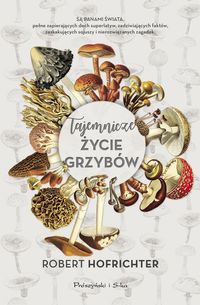 Książka - Tajemnicze życie grzybów