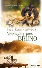 Książka - Niezwykły pies bruno