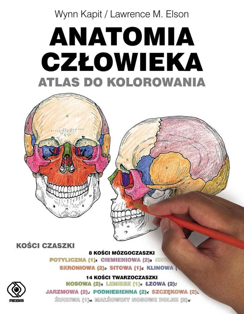 Książka - Anatomia człowieka. Atlas do kolorowania