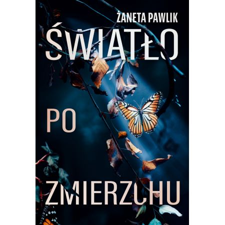 Światło po zmierzchu