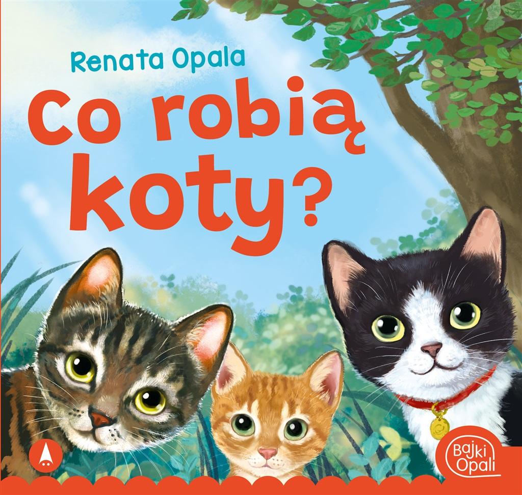 Książka - Co robią koty?