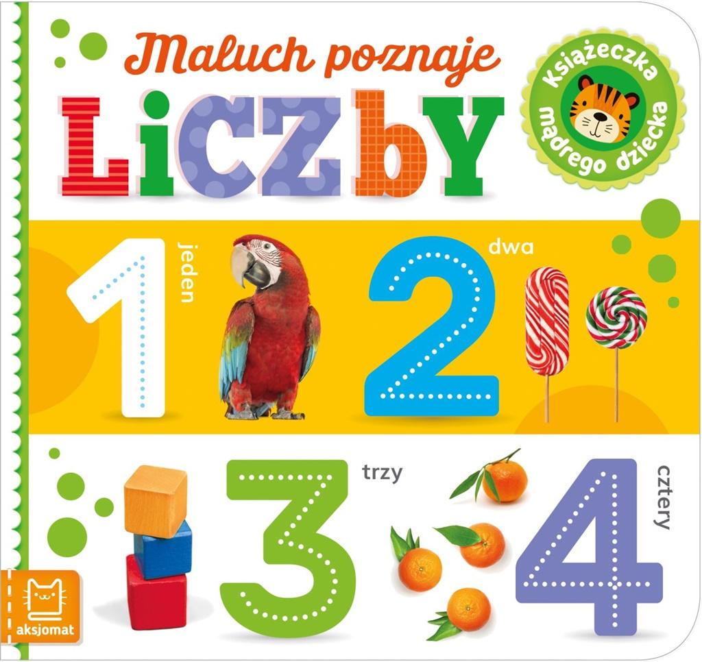 Książka - Maluch poznaje liczby. Książeczka mądrego dziecka