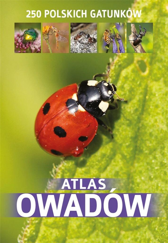 Atlas owadów (dodruk)