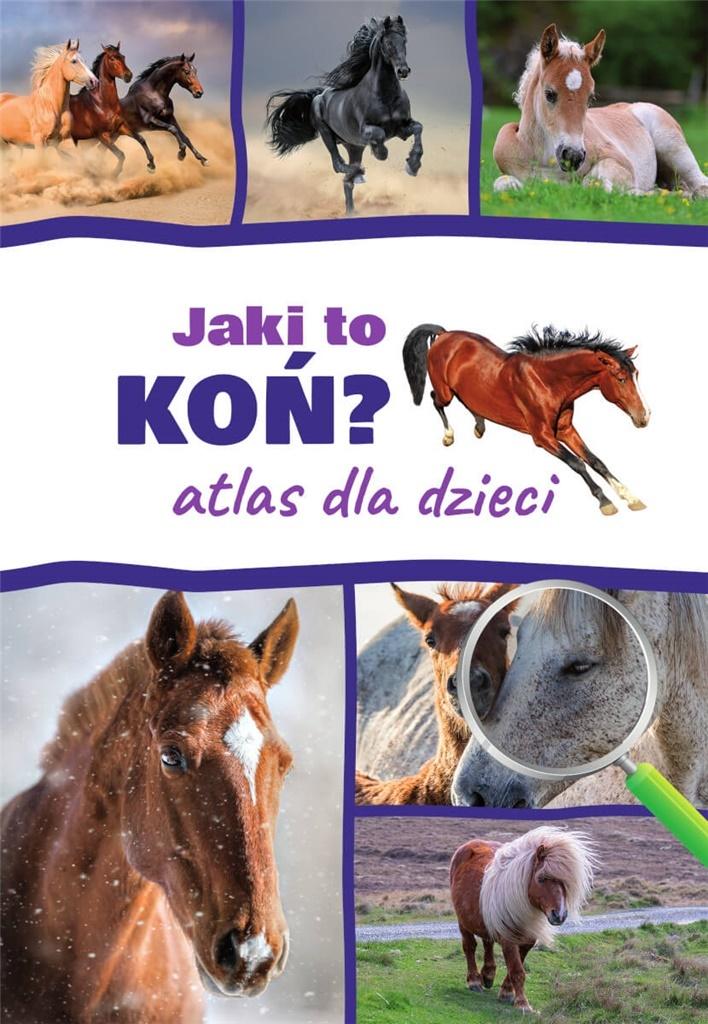 Książka - Atlas dla dzieci. Jaki to koń?