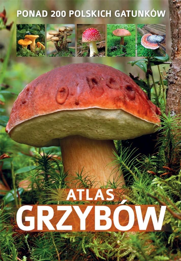 Książka - Atlas grzybów