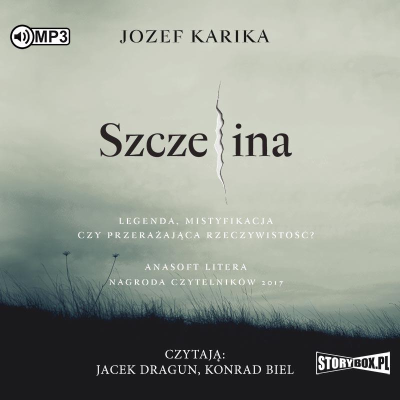 Książka - Szczelina audiobook