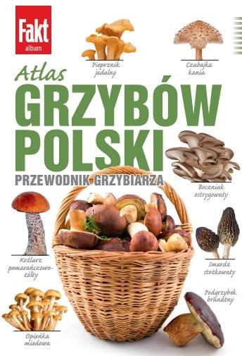 Książka - Atlas grzybów Polski