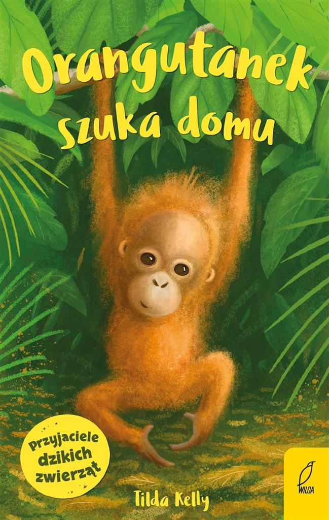 Książka - Przyjaciele dzikich zwierząt. Orangutanek szuka..