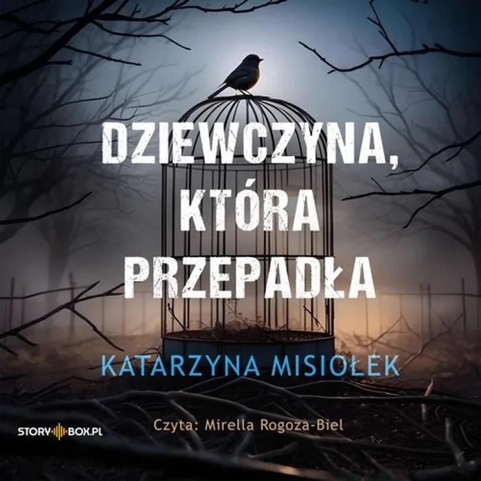 Książka - Dziewczyna, która przepadła audiobook