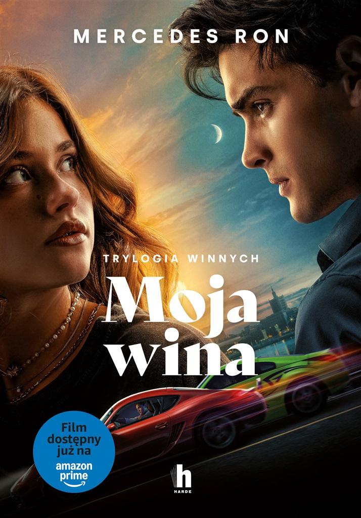 Moja wina (filmowa)