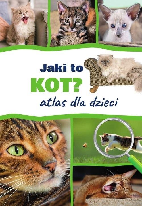 Książka - Jaki to kot? Atlas dla dzieci