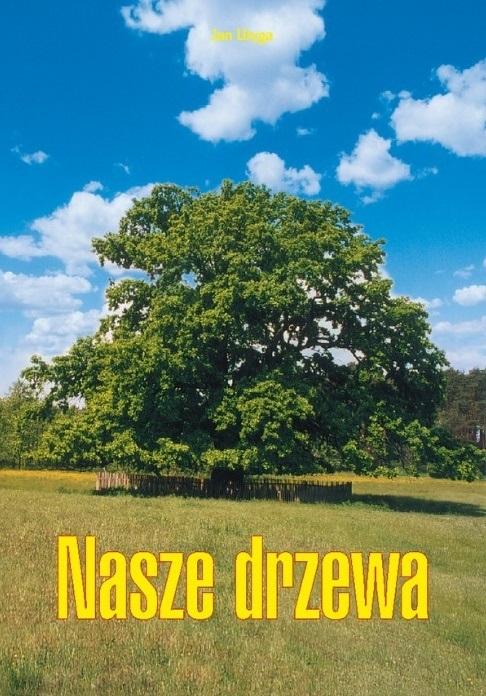 Nasze drzewa