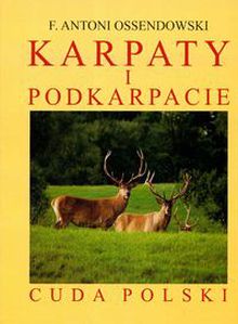 Książka - Karpaty i Podkarpacie reprint. Outlet