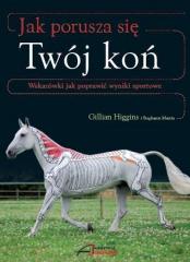 Książka - Jak porusza się Twój koń