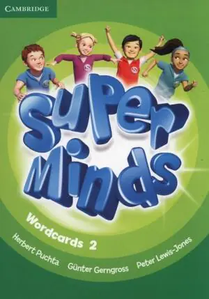 Super Minds. Level 2. Wordcards (Pack of 90)