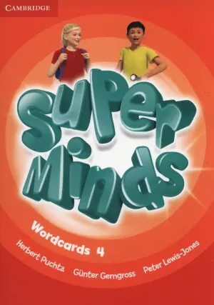 Super Minds Level 4. Wordcards