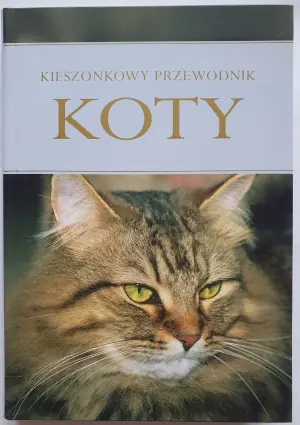 Koty. Kieszonkowy przewodnik