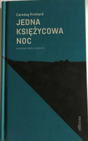 Jedna księżycowa noc