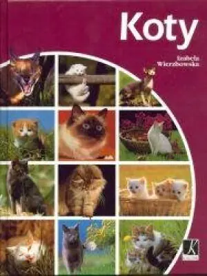 Koty