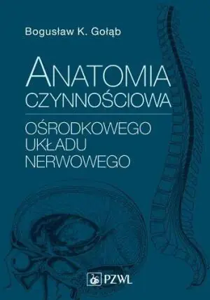 Anatomia czynnościowa ośrodkowego układu nerwowego