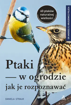 Ptaki w ogrodzie, jak je rozpoznawać