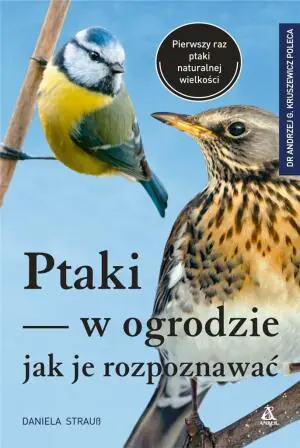 Ptaki w ogrodzie. Jak je rozpoznawać