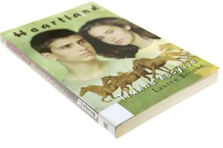 Heartland 4. Trudne decyzje