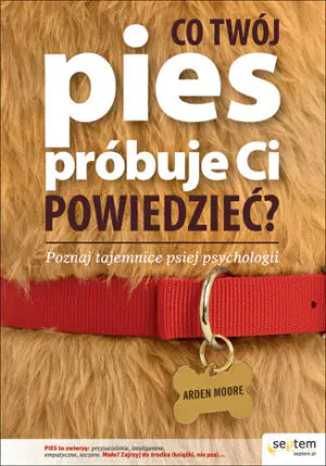 Co Twój pies próbuje Ci powiedzieć? Poznaj tajemnice psiej psychologii