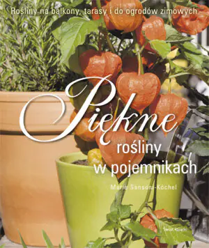 Piękne rośliny w pojemnikach
