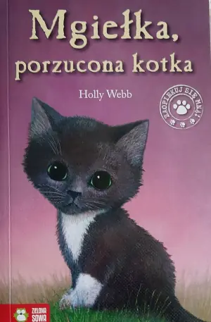 Mgiełka, porzucona kotka. Zaopiekuj się mną